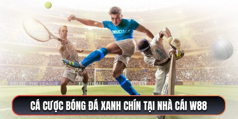 Trang cá cược W88