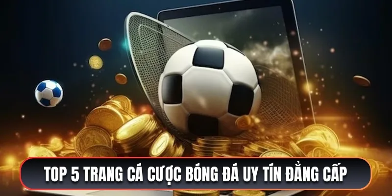 Top 5 Trang cá cược bóng đá